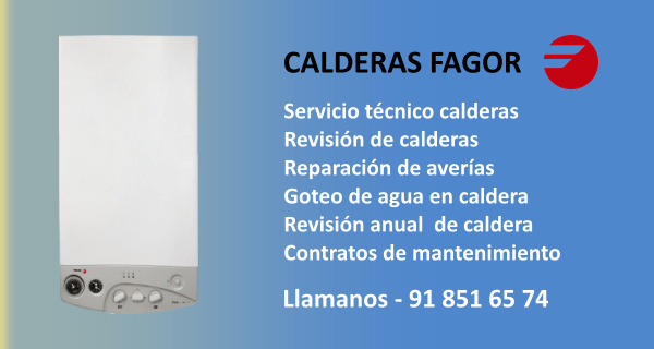 servicio-tecnico-autorizado-calderas-fagor-tecnicos Servicio Técnico calderas Fagor
