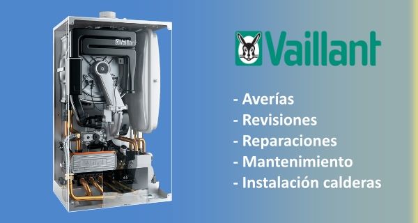 servicio-tecnico-autorizado-calderas-vaillant-tecnicos Servicio Técnico calderas Vaillant